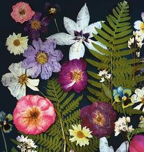 Load image into Gallery viewer, Pressed flower large botanical print - 20" x 30" Fern & Rose Noir Symphony