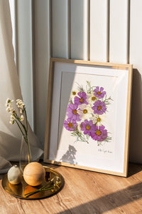 Pressed flower art, Botanical print, herbarium specimen dried flower art, pressed botanical art 8.5" x 11" PINK COSMOS