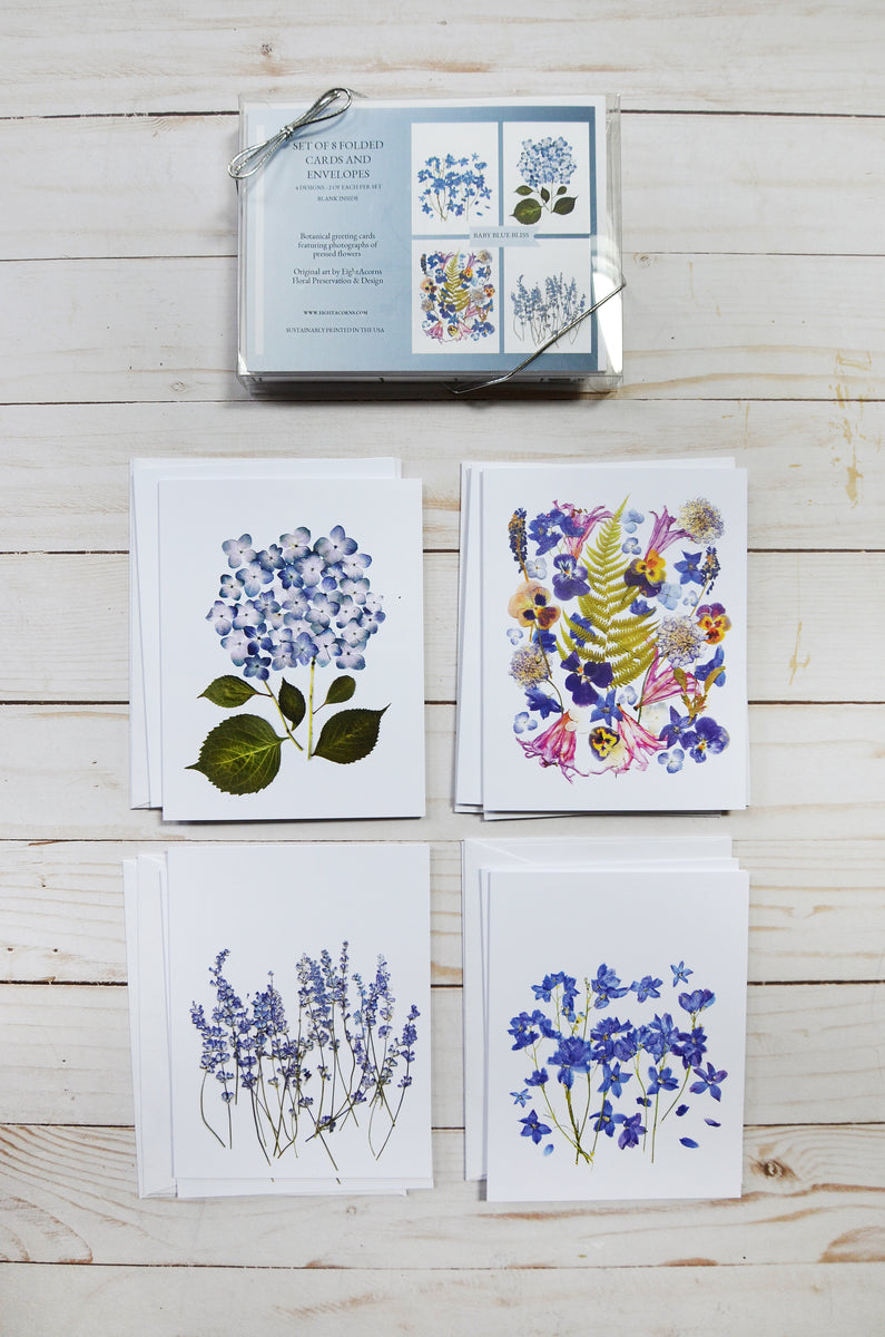 Baby Blue Bliss Greeting Card Set - 8 cards – Eight Acorns Floral ...