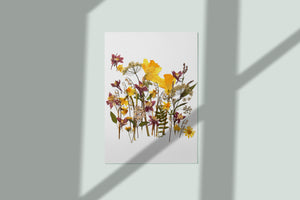 Pressed flower art, Botanical print, herbarium specimen dried flower art, pressed botanical art 8.5" x 11"  SPRING FLOWERS