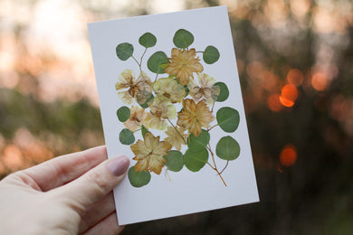 Eucalyptus Helleborus - Pressed flower collection card