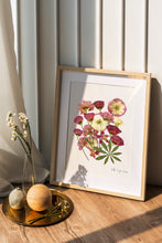Load image into Gallery viewer, Pressed flower art, Botanical print, herbarium specimen dried flower art, pressed botanical art 8.5&quot; x 11&quot;  lisianthus