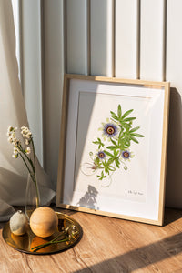 Pressed flower art, Botanical print, herbarium specimen dried flower art, pressed botanical art 8.5" x 11", Passion Vine Flowers