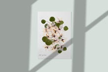 Load image into Gallery viewer, Pressed flower art, Botanical print, herbarium specimen dried flower art, pressed art 8.5&quot; x 11&quot;, UNFRAMED PRINT, Sward Lilly Gladiolus
