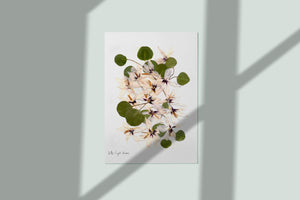 Pressed flower art, Botanical print, herbarium specimen dried flower art, pressed art 8.5" x 11", UNFRAMED PRINT, Sward Lilly Gladiolus