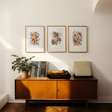 Load image into Gallery viewer, Botanical print, Pressed flowers herbarium specimen dried flower art, pressed botanical art 8.5" x 11" UNFRAMED PRINT Dark Rose Anemone