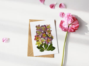Hellebores Winter Rose- Pressed flower collection card