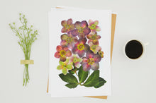 Load image into Gallery viewer, Hellebores Winter Rose- Pressed flower collection card