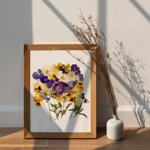 Load image into Gallery viewer, Pressed flower art, Botanical print, herbarium specimen dried flower art, pressed botanical art 8.5&quot; x 11&quot;, Viola Pansy UNFRAMED PRINT