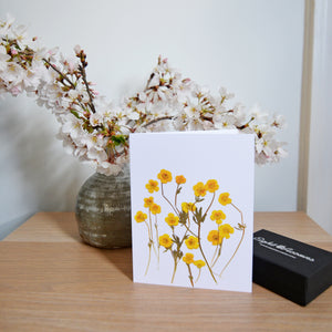 Wild Buttercup - Pressed flower collection card