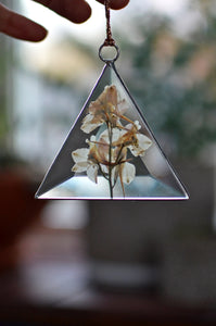 Pressed Flowers Glass Ornament - White larkspur, Bevel suncatcher