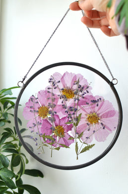 Round pressed flower wall hanging - Pink Cosmos