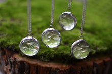 Load image into Gallery viewer, The pedant holds a cluster of real preserved dandelion seeds finished in a stained glass technique.