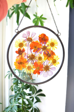 Round pressed flower wall hanging - Coreopsis