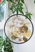 Load image into Gallery viewer, Round pressed flower wall hanging - White flowers Mix