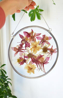 Round pressed flower wall hanging - Columbine