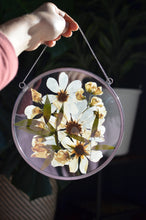 Load image into Gallery viewer, Round pressed flower wall hanging - White flowers Mix