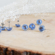 Load image into Gallery viewer, Forget me not earrings studs