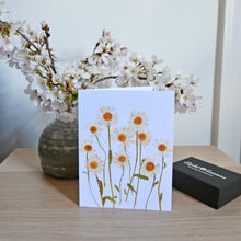 Load image into Gallery viewer, Shasta Daisy - Pressed flower collection greeting card