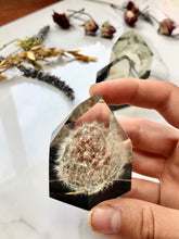 Load image into Gallery viewer, Whole dandelion clock crystal