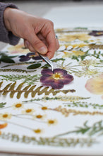 Load image into Gallery viewer, Pressed flower large botanical print - 16&quot; x 20&quot;  Nature&#39;s Mosaic - Fern Anemone