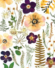 Load image into Gallery viewer, Pressed flower large botanical print - 16&quot; x 20&quot;  Nature&#39;s Mosaic - Fern Anemone