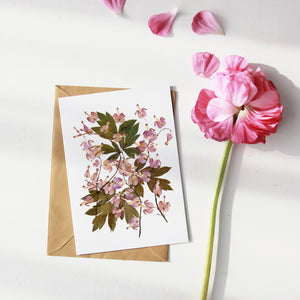 Bleeding Hearts - Pressed flower collection card