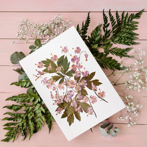 Bleeding Hearts - Pressed flower collection card