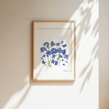 Load image into Gallery viewer, Pressed flower art, Botanical print, herbarium specimen dried flower art, pressed botanical art 8.5&quot; x 11&quot;  DELPHINIUM