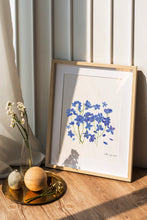 Load image into Gallery viewer, Pressed flower art, Botanical print, herbarium specimen dried flower art, pressed botanical art 8.5&quot; x 11&quot;  DELPHINIUM