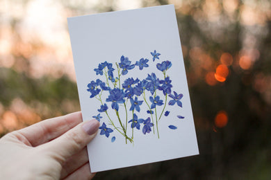 Blue Delphinium - Pressed flower collection card