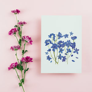 Blue Delphinium - Pressed flower collection card