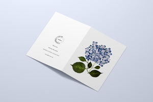 Baby Blue Bliss Greeting Card Set - 8 cards