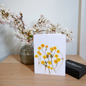 Sunshine Blossom Greeting Card Set - 8 cards