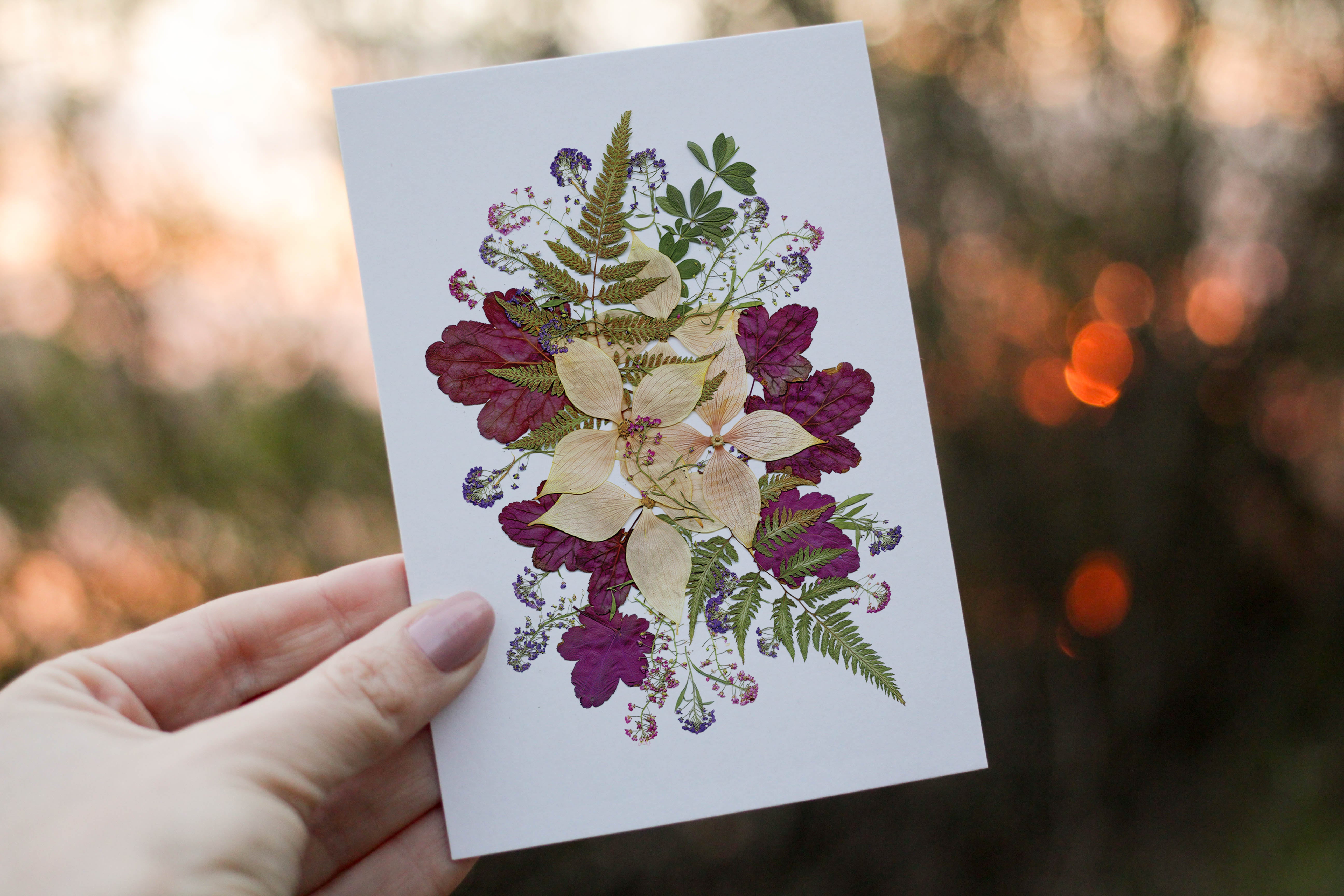 Coral Bells Dogwood - Pressed flower collection greeting card