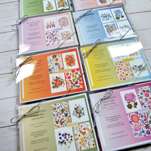 Autumn Allure Greeting Card Set - 8 cards