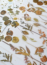 Load image into Gallery viewer, Pressed Flower Sticker Set - 40 Waterproof Vinyl Stickers LEAFY GREEN