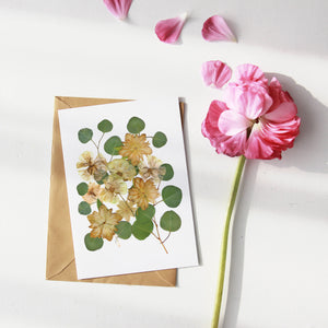 Eucalyptus Helleborus - Pressed flower collection card