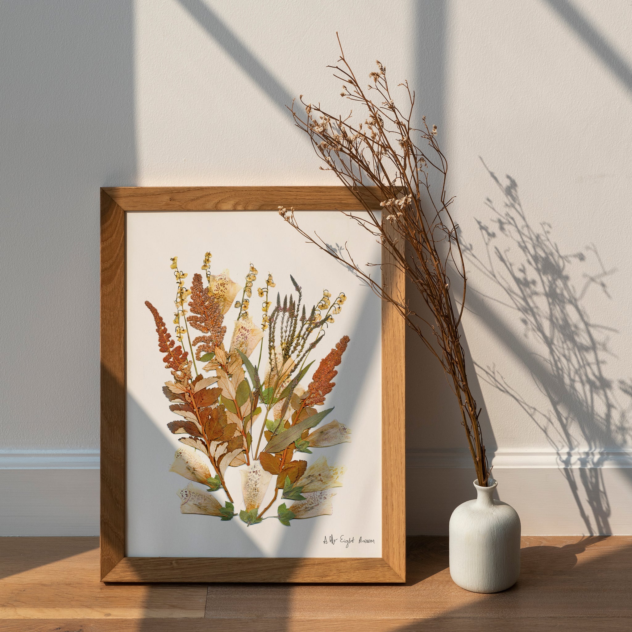 A pressed botanical specimen of dried flora on archival paper.