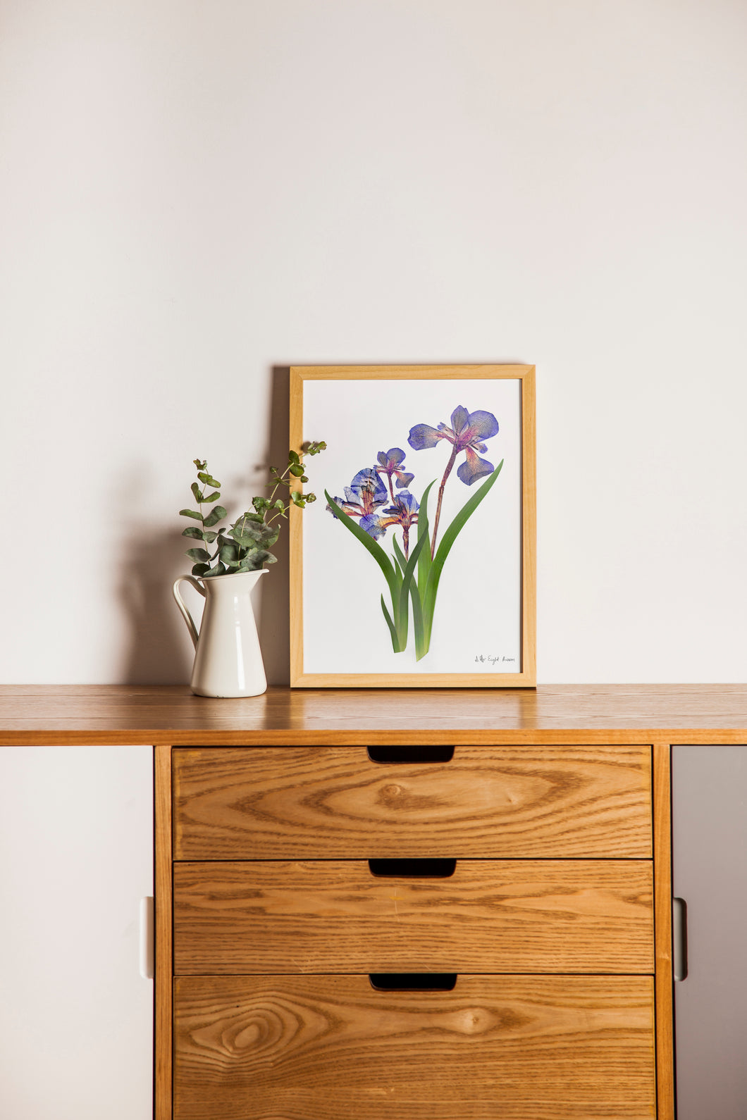 Botanical print, Pressed flowers herbarium specimen dried flower art, pressed botanical art 8.5
