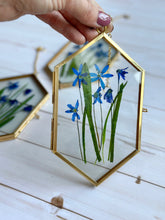 Load image into Gallery viewer, Mother’s Day Gift | Pressed Flower Frame – Handmade Botanical Art, pressed pansy, snowdrop, blue scilla