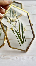 Load image into Gallery viewer, Mother’s Day Gift | Pressed Flower Frame – Handmade Botanical Art, pressed pansy, snowdrop, blue scilla