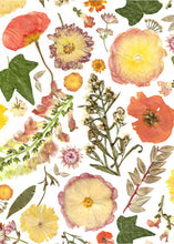 Load image into Gallery viewer, Pressed flower large botanical print - 16" x 20"  Nature's Mosaic - Golden Meadow