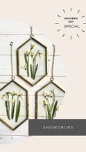 Load image into Gallery viewer, Mother’s Day Gift | Pressed Flower Frame – Handmade Botanical Art, pressed pansy, snowdrop, blue scilla