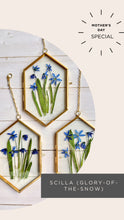 Load image into Gallery viewer, Mother’s Day Gift | Pressed Flower Frame – Handmade Botanical Art, pressed pansy, snowdrop, blue scilla