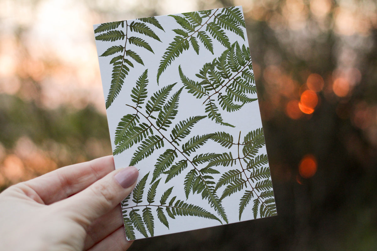 Japanese Fern - Pressed flower collection greeting card – Eight Acorns ...