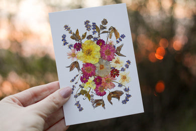 Lavander Anemone - Pressed flower collection card