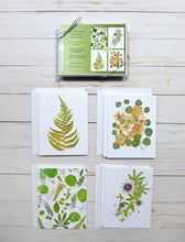 Load image into Gallery viewer, Leafy Luxe Greeting Card Set - 8 cards