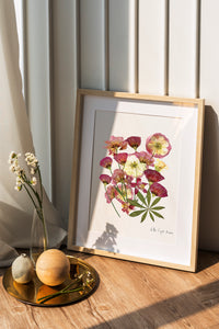 Pressed flower art, Botanical print, herbarium specimen dried flower art, pressed botanical art 8.5" x 11"  lisianthus