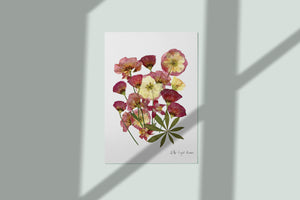 Pressed flower art, Botanical print, herbarium specimen dried flower art, pressed botanical art 8.5" x 11"  lisianthus